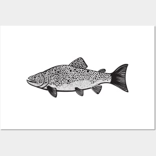 Brown Trout - hand drawn fish design Posters and Art